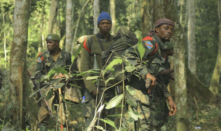 RDC : Renforcement des Forces Armées en Ituri pour la Sécurité de la Population