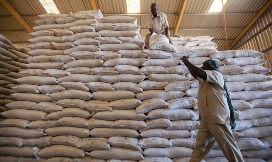 Mali : La Russie livre 25.000 tonnes de blé en aide humanitaire à Bamako