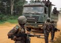 FARDC